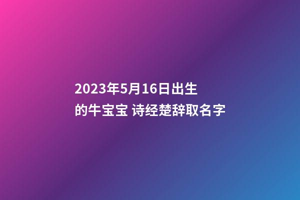 2023年5月16日出生的牛宝宝 诗经楚辞取名字